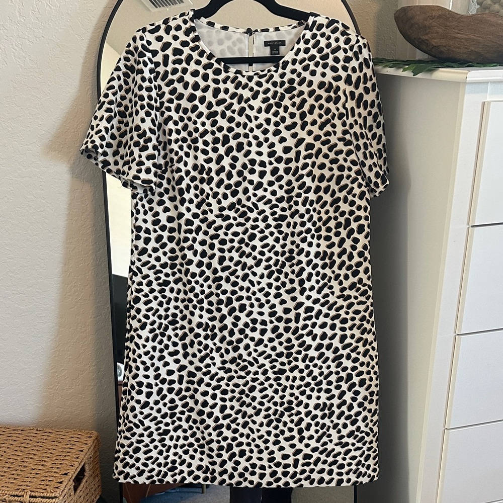 Ann Taylor leopard Patterned Mini Dress